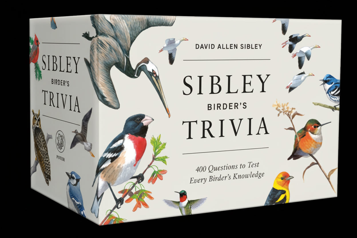 Sibley Birder's Trivia