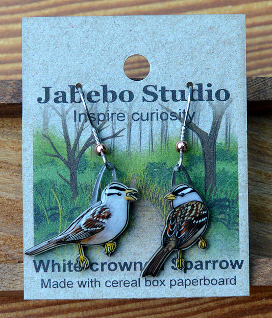Earring Wh Crowned Sparrow