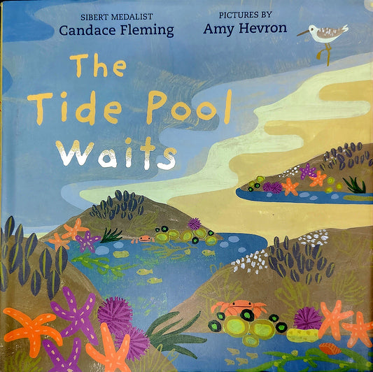 Book: The Tide Pool Waits