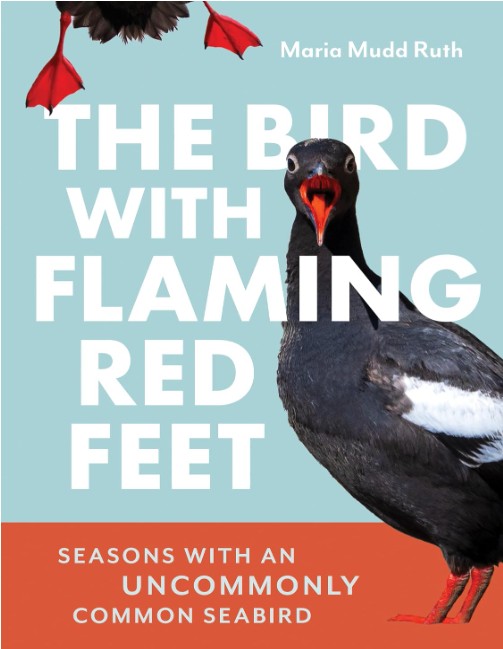 Book: The Bird With Flaming Red Feet