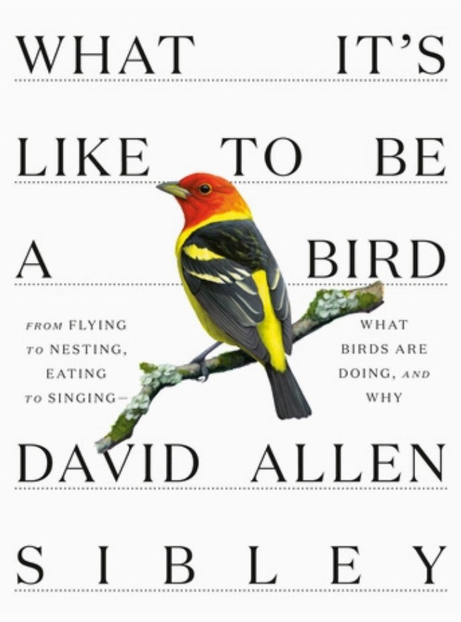 Book: What It's Like To Be A Bird