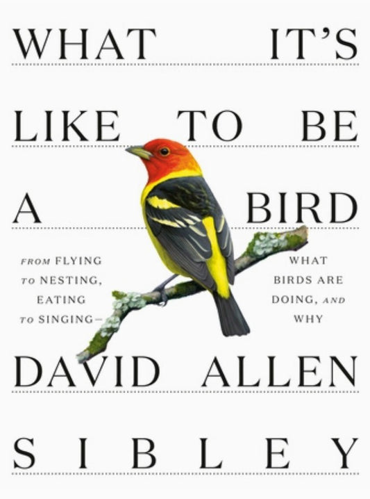 Book: What It's Like To Be A Bird
